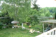 Garten mit Birke im Sommer