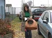 Video auf MainTV